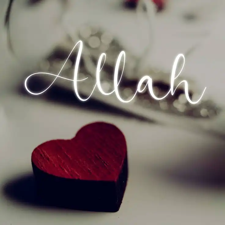 allah dp allah dp